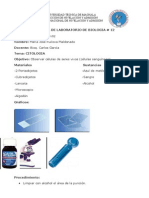 Citología (Células Sanguíneas)
