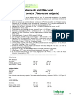 Formato y Ejemplo de Protocolos_ct