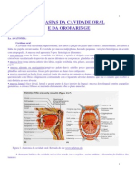 Seminario - 57 Neoplasias