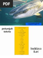Download Petunjuk Teknis Budidaya Beberapa Komoditi Perikanan by copyleftagh44 by ivan ara SN25537640 doc pdf