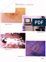 Crimi ColorManual de Ciencias Forenes y Criminalistica