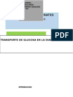 Transporte de La Glucosa en Personas Con Diabetes Mellitus