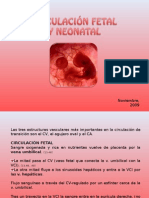 Circulacion Fetal y Neonatal