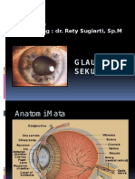 Glaukoma Sekunder