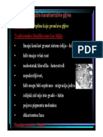 Opste Osobine Gljiva PDF