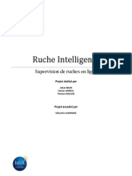 Rapport Projet EI5 - Ruche intelligente