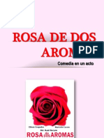 Rosa de Dos Aromas PERU1