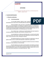 Primer Informe PDF