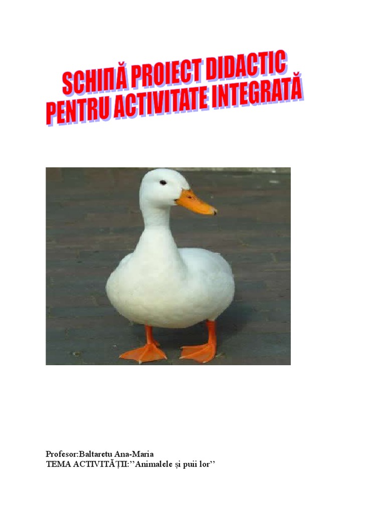 Animalele Si Puii Lor