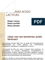 Bacterias Acido Lacticas