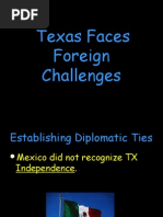 texas faces foreign challenges