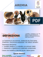 Tularemia Completo