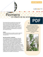 Plantas aromaticas - Romero