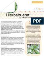 Plantas aromaticas - Hierbabuena