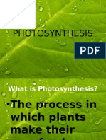 Photosynthesis - MCD