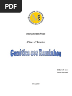 Genética Aos Raminhos