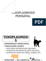 Toxoplasmosis Perinatal