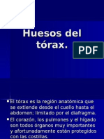 Presentación Huesos Del Tórax