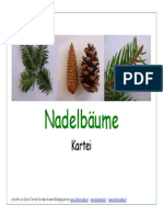 nadelbaeume