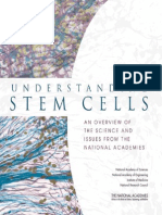 Understanding Stem Cells