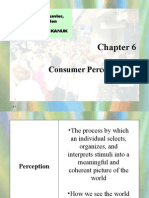 Consumer Perception: Consumer Behavior, Eighth Edition