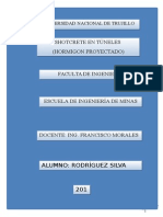 Monografia Shotcrete en Tuneles