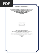 Download PERAWATAN LUKA POST SC by rahulgulemq SN255535631 doc pdf