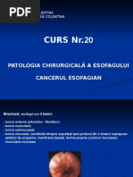 Patologia Chirurgicala A Esofagului | PDF