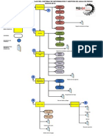 Diagram a Flu Jo