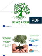 Plant A Tree Info Pack