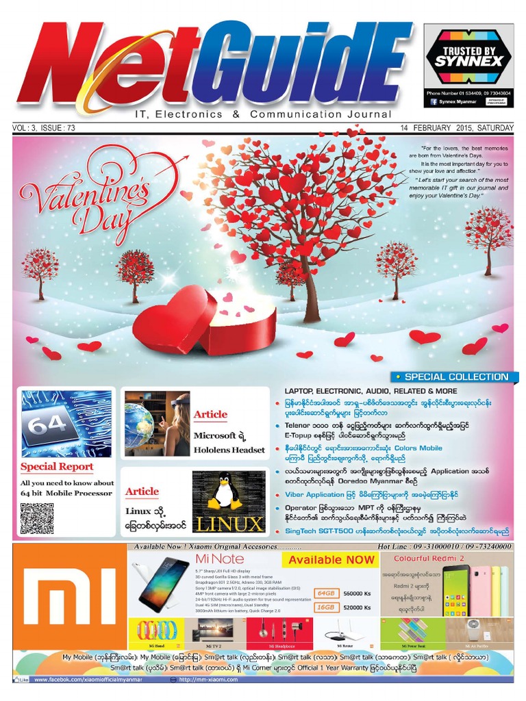 Netguide Vol. (3), Issue PDF | PDF