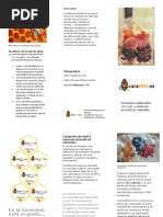 Beneficios y usos de Simi Lyptus | PDF