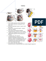 Developement of Body Cavities, Diaphragm and Lungs