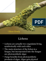 Lichens