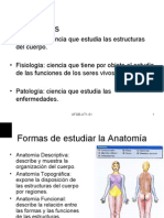 Clase Anatomia 1