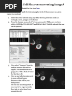 Pacho ImageJ Measuring Cell Fluorescence_2