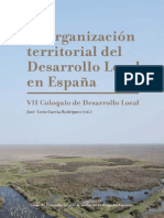 Libro Organización Territorial DL en España