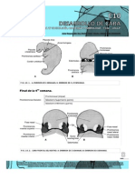 Guías de Embriología 2013 - Desarrollo de Cara - Guias de Lectura 2013