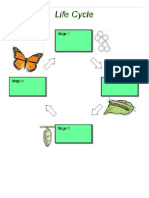 Life Cycle of A Butterfly