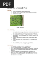 Download Azolla as Livestock Feed by Lorna Icardi SN255630143 doc pdf