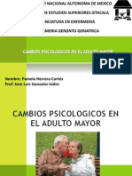 CAMBIOS PSICOLÓGICOS EN EL ADULTO MAYOR