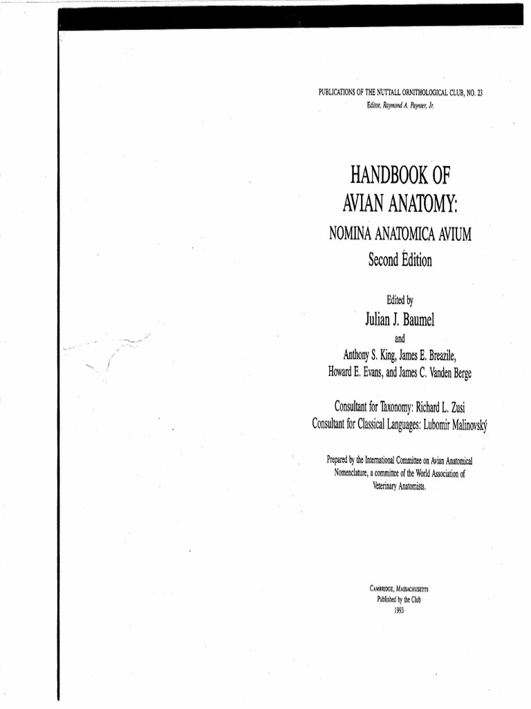 Handbook of Avian Anatomy | PDF