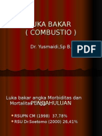 Luka Bakar (Combustio)