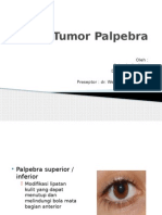 Tumor Palpebra Fix