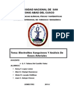 Electrolitos Sanguineos Y Analisis de Gases Arteriales MONOGRAFIA