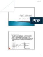 FG Curs13 PDF