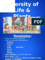 Ap - Diversity of Life & Plants