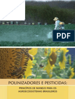 Polinizadores e Pesticidas Final