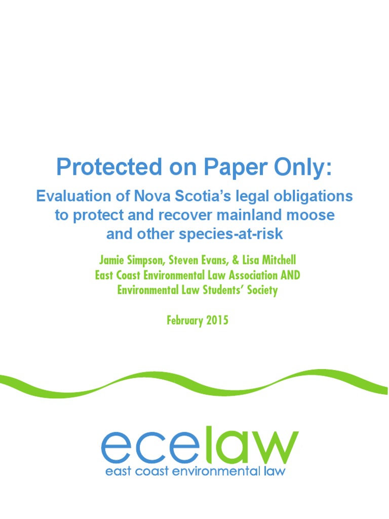 Why is it important to protect endangered species picture