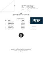 Contoh Laporan Lengkap PDF